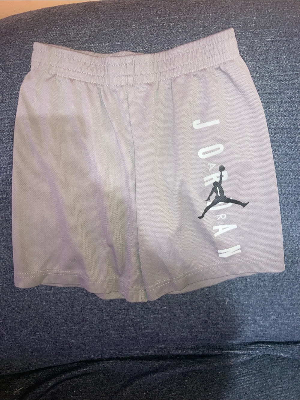 Jordan Women's Light Gray Logo Athletic Shorts